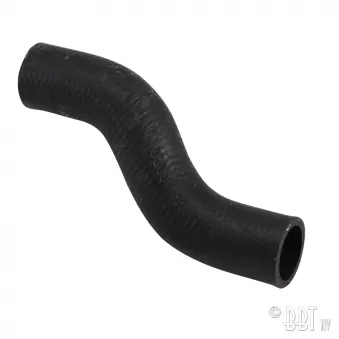 Durite entre distributor d'eau et culasse droite YOUNG PARTS 4250-013