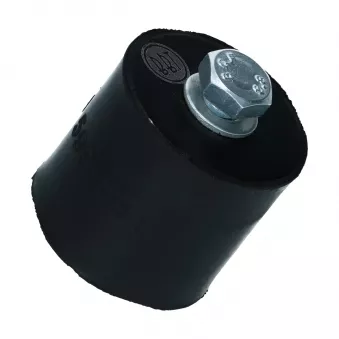 Silentbloc de support de boîte arrière YOUNG PARTS 1489-750