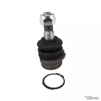 Rotule de suspension infèrieure YOUNG PARTS 1332-250