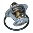 Thermostat diesel 87°-102°C YOUNG PARTS 4254-110 - Visuel 3