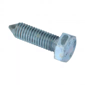 Boulon de châssis YOUNG PARTS 8060