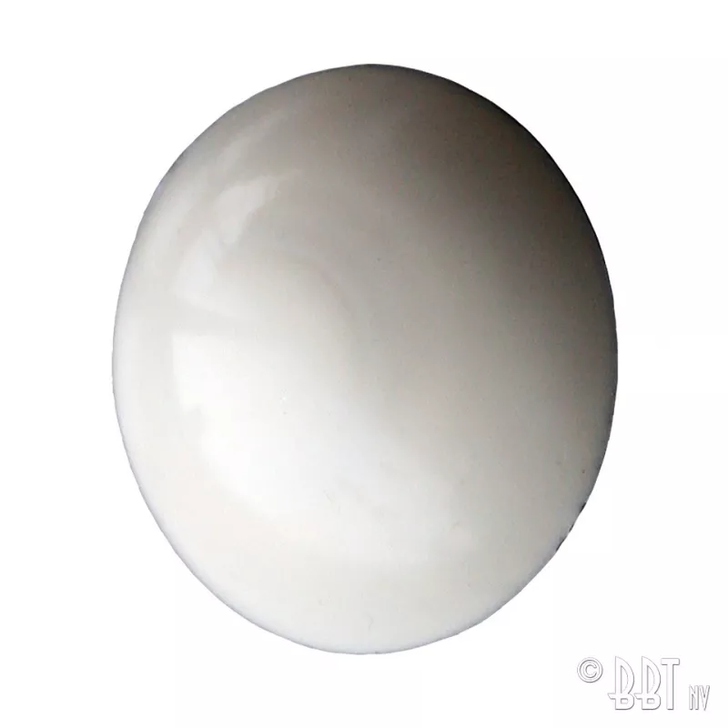Capuchon pour boulon de pare-chocs (Blanc) YOUNG PARTS 0076-101