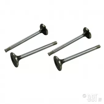 Soupapes échappement 3/1600cc double admission, 15/1600cc simple admission YOUNG PARTS 1749