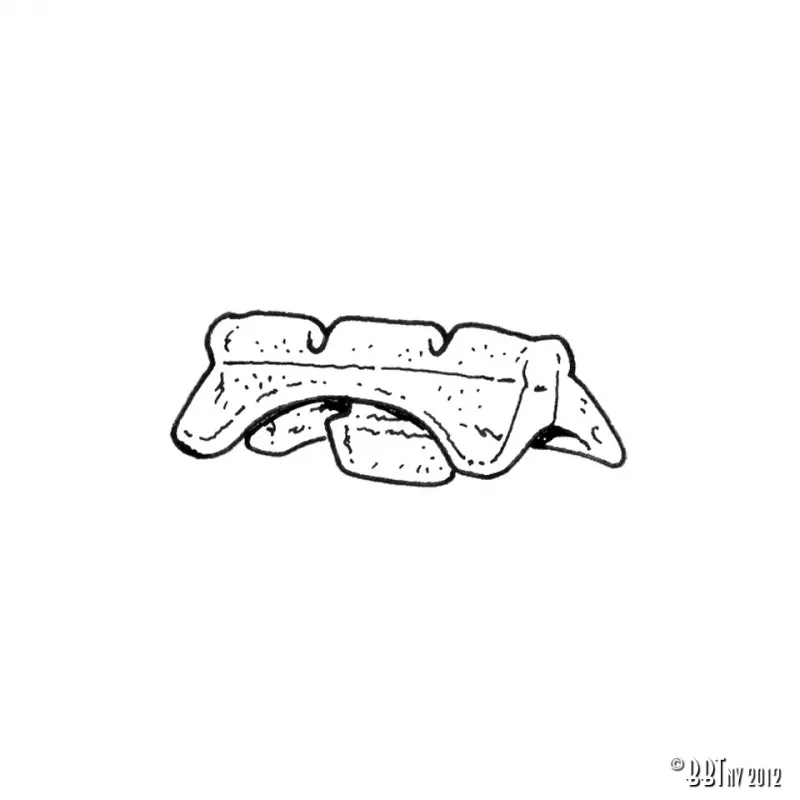 Glissières de siège, avant YOUNG PARTS 0734-5