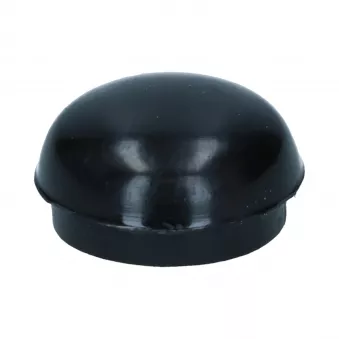 Capuchon bras & axe d'essuie-glace YOUNG PARTS 2410