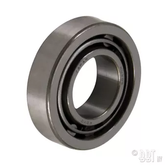Roulement de roue arrière à l'extérieur, IRS, Type 1 + Type 3 YOUNG PARTS 1439-200