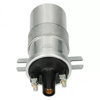 Bobine Beru, 6V avec support (allemand) YOUNG PARTS 2052-250