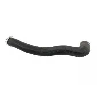 Durite de turbo OE 9815433680
