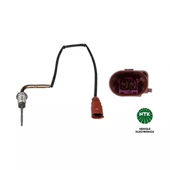 Capteur, température des gaz NGK 93973