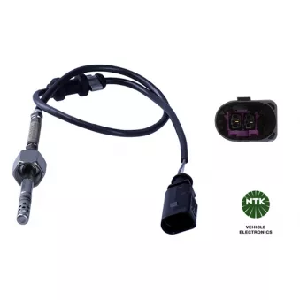 Capteur, température des gaz NGK 95551