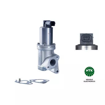 Vanne EGR NGK 95819