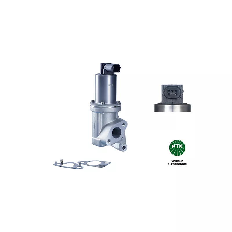 Vanne EGR NGK 95819