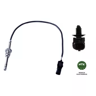 Capteur, température des gaz NGK 95904