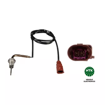 Capteur, température des gaz NGK