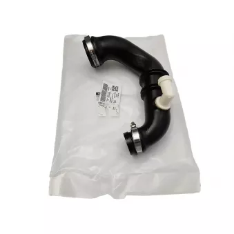Flexible, alimentation en air OE 8200331958