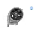 Support moteur MEYLE 16-14 080 4163 - Visuel 2
