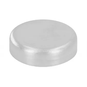 Bouchon antigel OE 7703075216