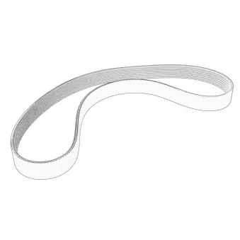 Courroie trapézoïdale d'accessoires OE 252122MHA0
