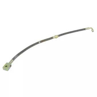 Flexible de frein ABE C80628ABE