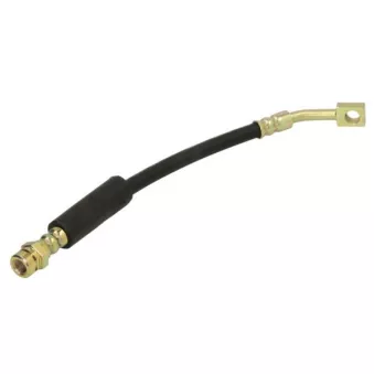 Flexible de frein ABE C81243ABE