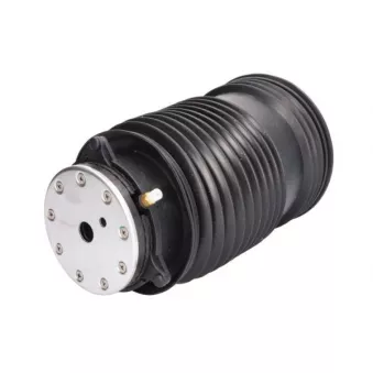 Ressort pneumatique, châssis arrière droit MAGNUM TECHNOLOGY MZM020MT