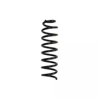 Ressort de suspension MAGNUM TECHNOLOGY
