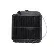 Radiateur, refroidissement du moteur THERMOTEC D7AG728TT - Visuel 1