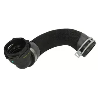 Durite de radiateur THERMOTEC DWB318TT