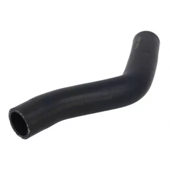 Durite de radiateur THERMOTEC DWG156TT