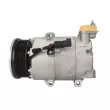 Compresseur, climatisation THERMOTEC KTT090132 - Visuel 1