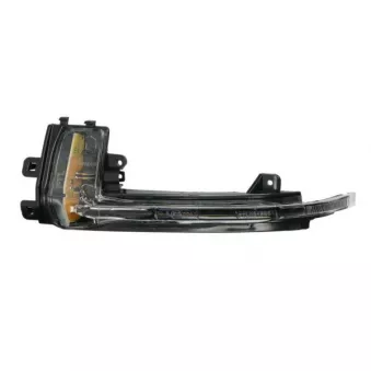Feu clignotant avant gauche BLIC 5403-25-0046105P