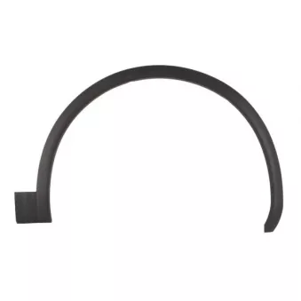 Baguette et bande protectrice, aile avant droit BLIC 5703-04-0036422P