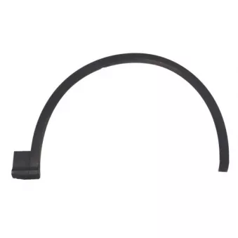 Baguette et bande protectrice, aile avant droit BLIC 5703-04-0036422SP