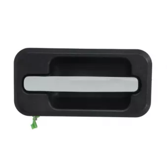 Poignée extérieure de porte arrière gauche BLIC 6010-88-2418403P