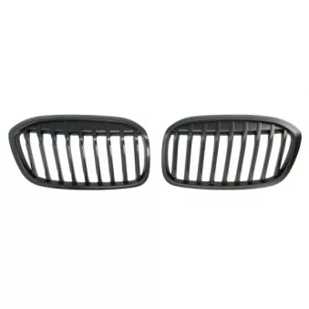Grille de radiateur BLIC