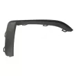 Baguette et bande protectrice, pare-chocs avant droit BLIC 6502-07-0073924P - Visuel 1