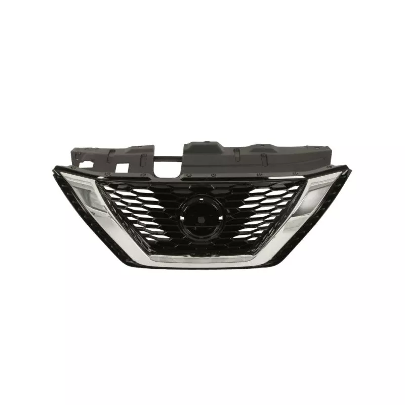 Grille de radiateur BLIC 6502-07-1617995P