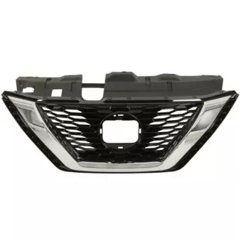 Grille de radiateur BLIC 6502-07-1617996P