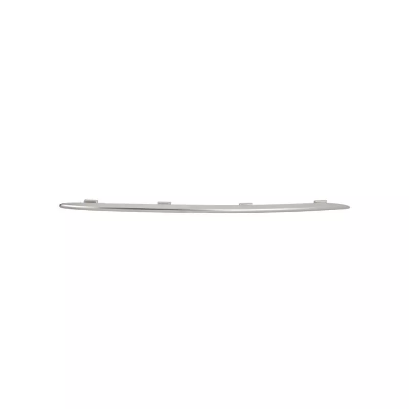 Baguette et bande protectrice, grille de radiateur BLIC 6502-07-3533991PP