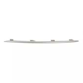 Baguette et bande protectrice, grille de radiateur BLIC 6502-07-3533992PP
