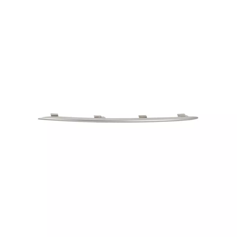 Baguette et bande protectrice, grille de radiateur BLIC 6502-07-3533992PP