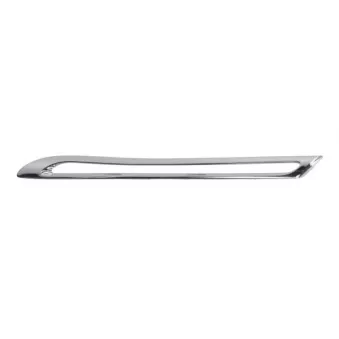 Baguette et bande protectrice, grille de radiateur BLIC 6502-07-3533993P