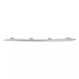 Baguette et bande protectrice, grille de radiateur BLIC 6502-07-3533994PP
