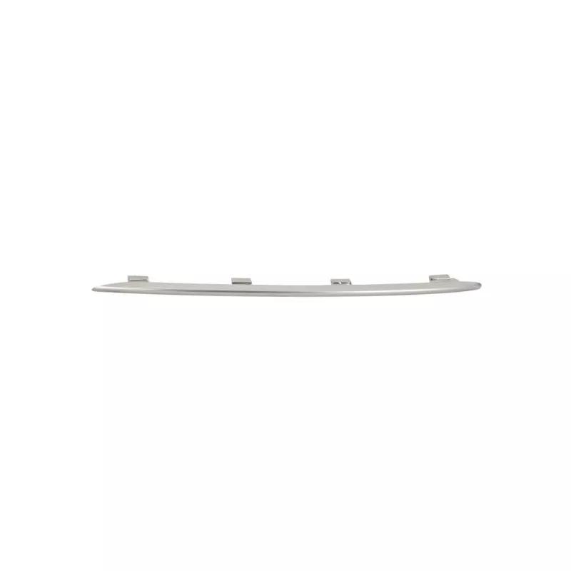 Baguette et bande protectrice, grille de radiateur BLIC 6502-07-3533994PP