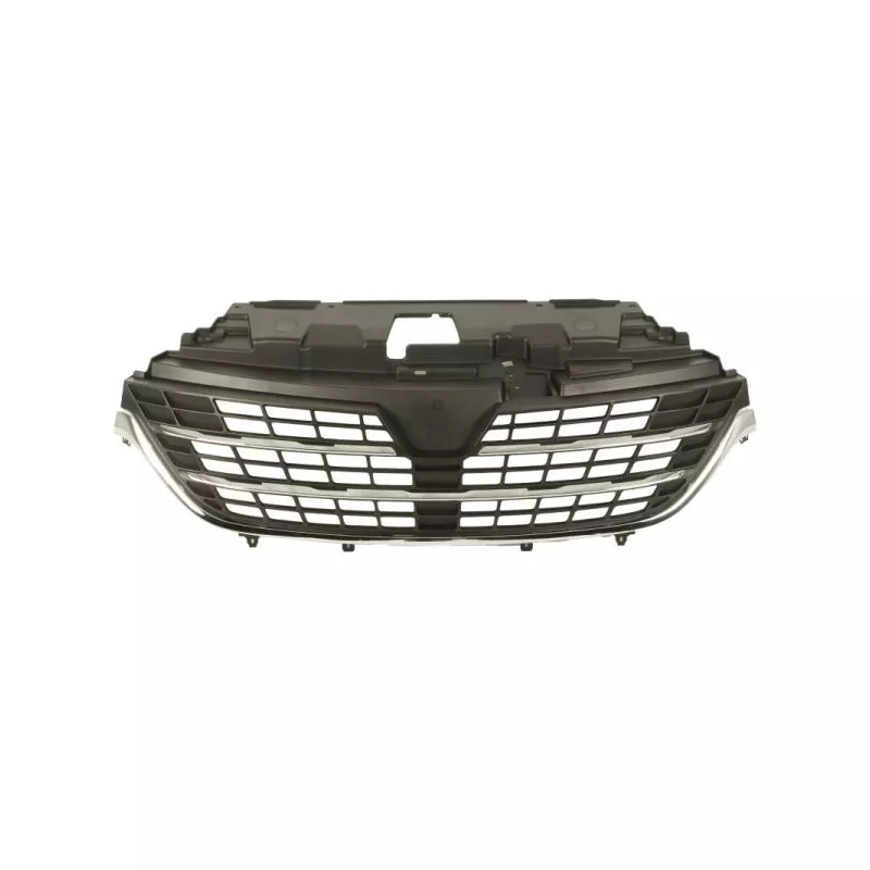 Grille de radiateur BLIC 6502-07-3535993P
