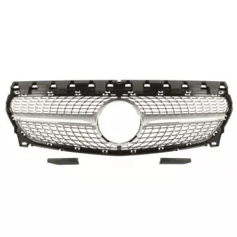 Grille de radiateur BLIC 6502-07-6063993P