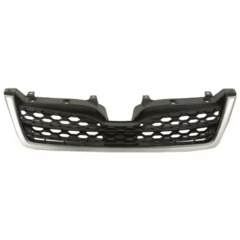 Grille de radiateur BLIC 6502-07-6738996P