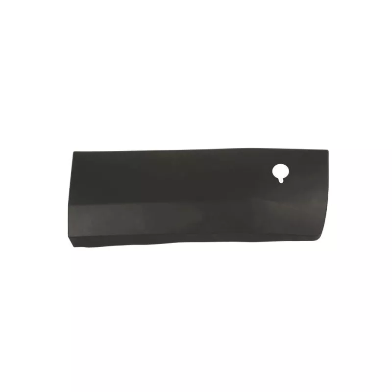 Baguette et bande protectrice, porte arrière droit BLIC 6600-04-2518902P