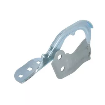 Charnière, capot-moteur BLIC 6802-00-2579454P