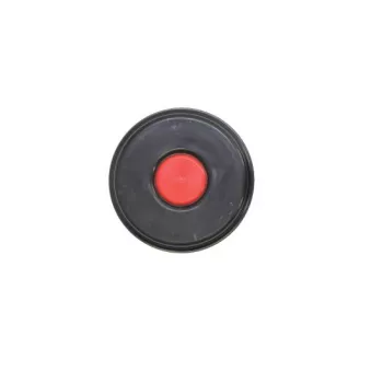 Enjoliveur, roues S-TR B09-SAF-002